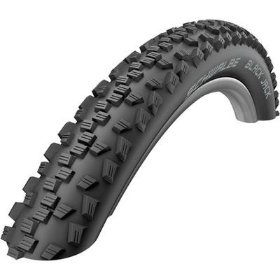 Riepa Schwalbe BLACK JACK 20 x 1.75 