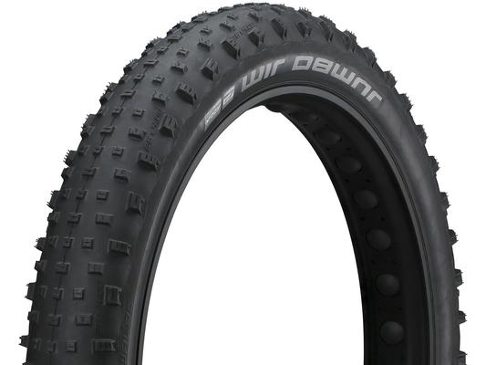 Riepa Schwalbe JumboJim Performance 26x4.00  (100-559)