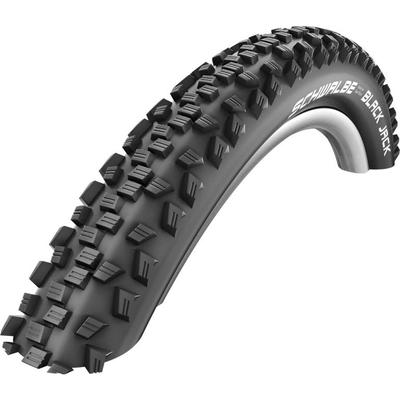 Riepa Schwalbe BlackJack 26x2.10 K-Guard