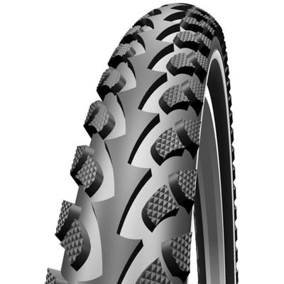 Riepa Schwalbe LandCruised 24x2.00