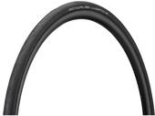 Riepa Schwalbe Lugano 28-622 (Black Folding)