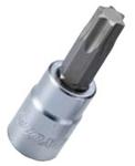 Muciņa 1/4 torx T40