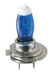 H7HODLAMPS 12V 100W